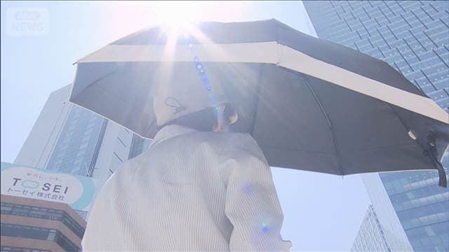 メイン記事画像