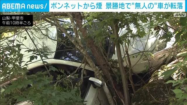 メイン記事画像