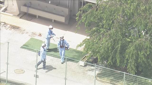 メイン記事画像