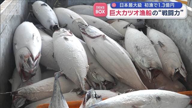 メイン記事画像
