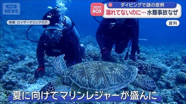 メイン記事画像