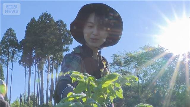 メイン記事画像