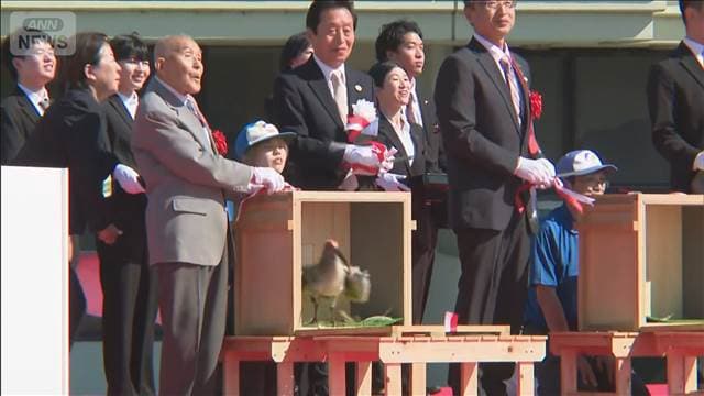 メイン記事画像