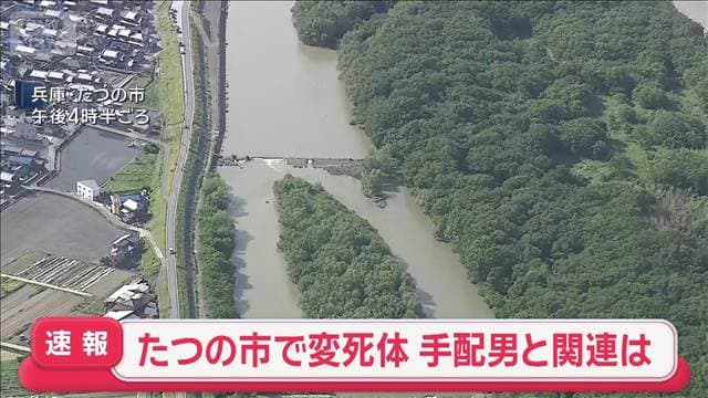 メイン記事画像