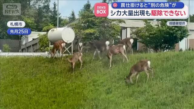 メイン記事画像