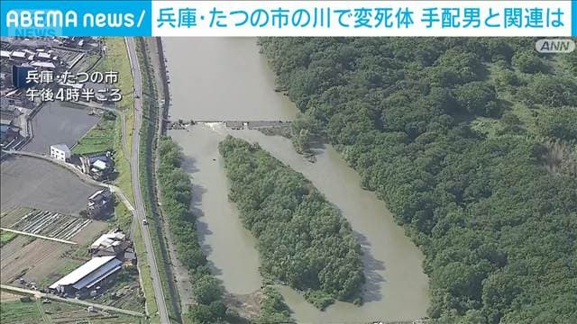 メイン記事画像