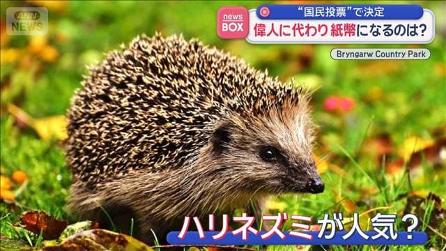メイン記事画像