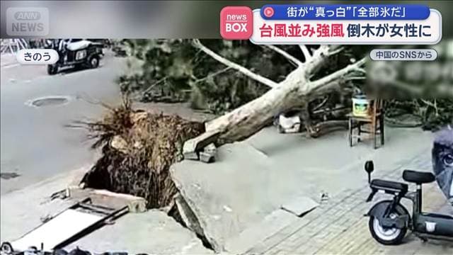 メイン記事画像