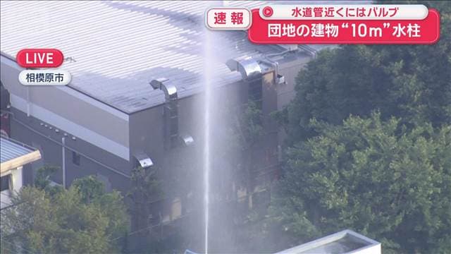 メイン記事画像