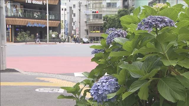 メイン記事画像