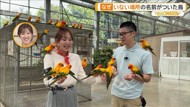 メイン記事画像