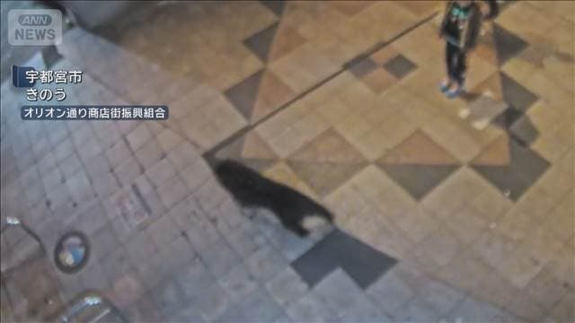 メイン記事画像