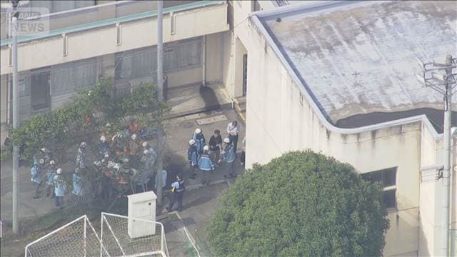 メイン記事画像