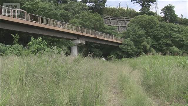 メイン記事画像