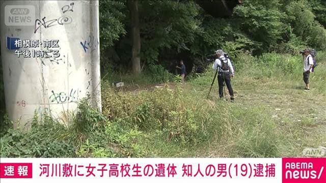 メイン記事画像