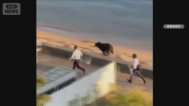 メイン記事画像