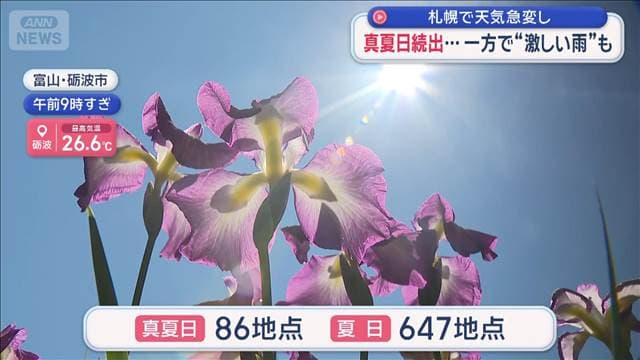 メイン記事画像