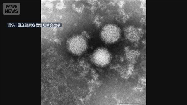 メイン記事画像