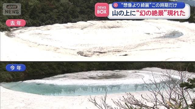 メイン記事画像