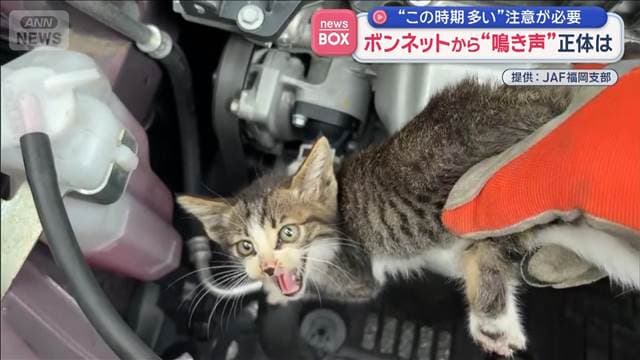 メイン記事画像
