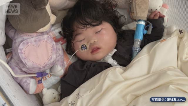 メイン記事画像