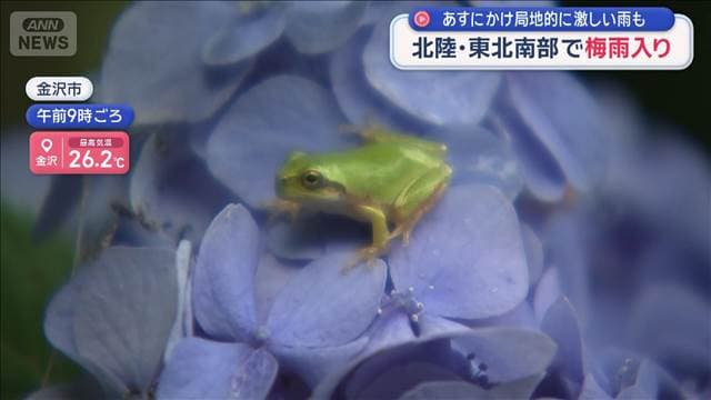 メイン記事画像