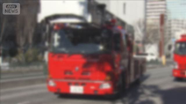 メイン記事画像