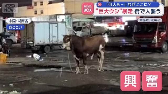 メイン記事画像