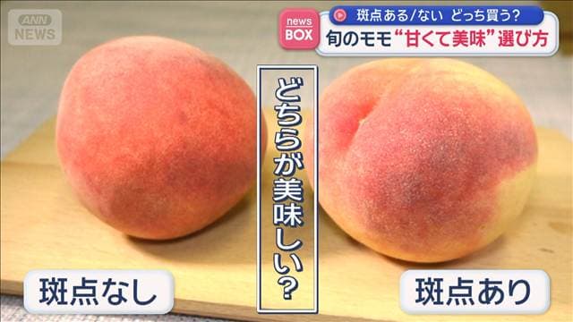 メイン記事画像