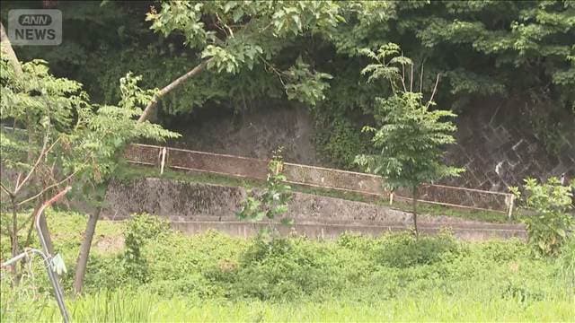 メイン記事画像