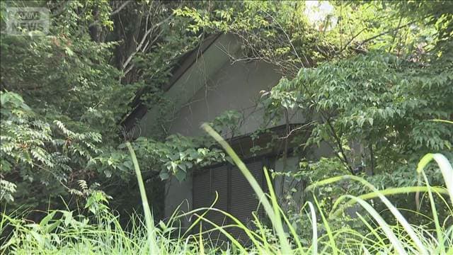 メイン記事画像