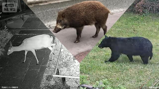 メイン記事画像