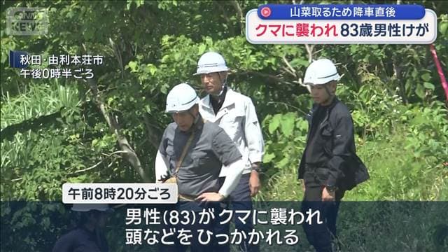 メイン記事画像