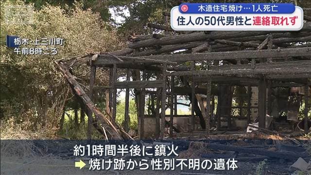 メイン記事画像