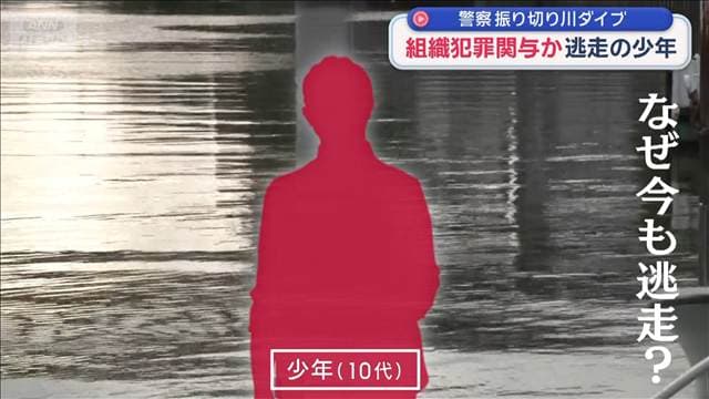 メイン記事画像