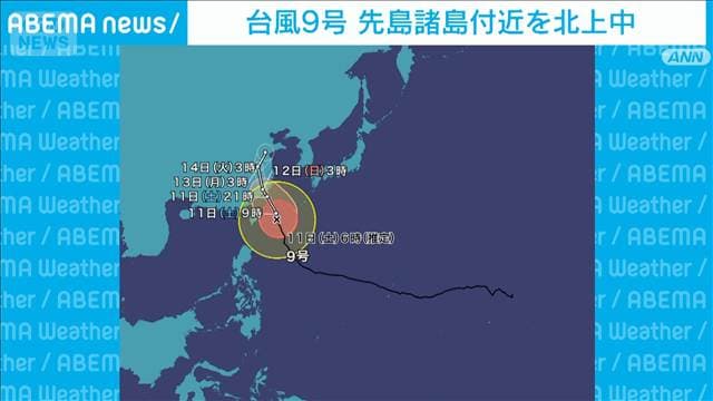 メイン記事画像