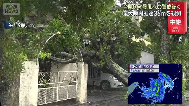 メイン記事画像