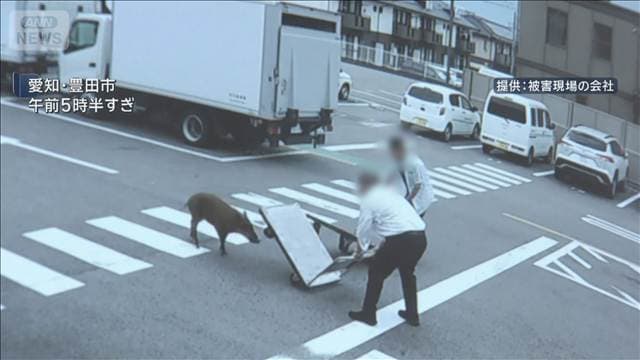 メイン記事画像