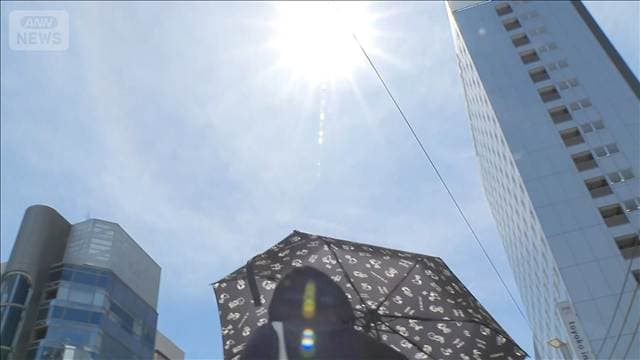 メイン記事画像