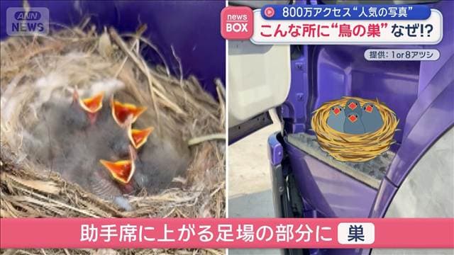 メイン記事画像