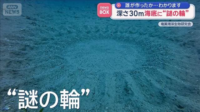 メイン記事画像