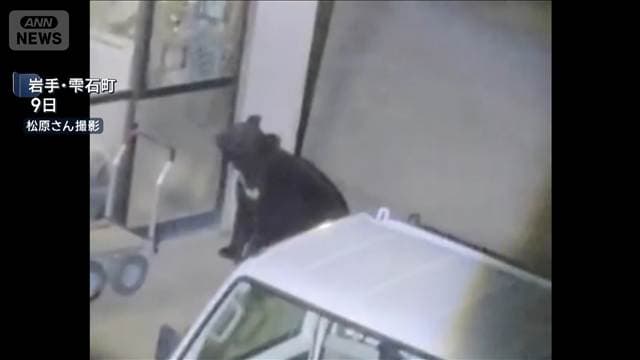 メイン記事画像