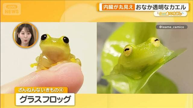 メイン記事画像