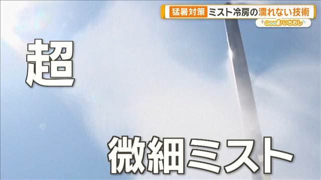 メイン記事画像