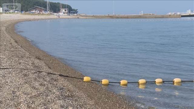 メイン記事画像
