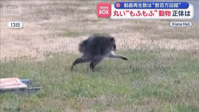 メイン記事画像