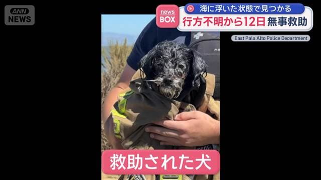 メイン記事画像
