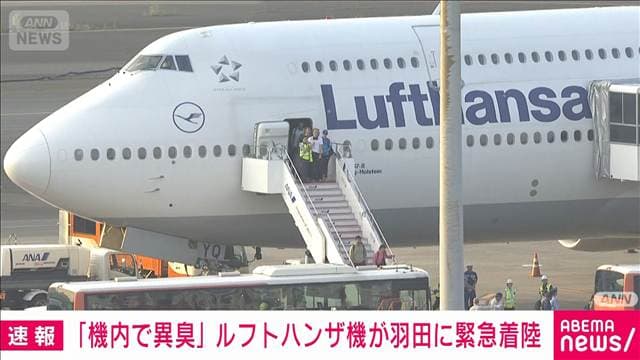 メイン記事画像