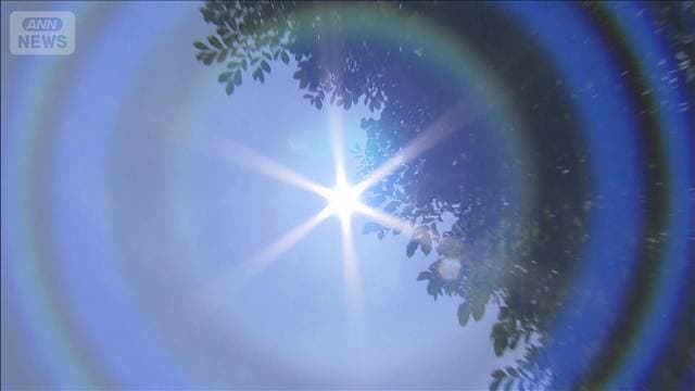 メイン記事画像