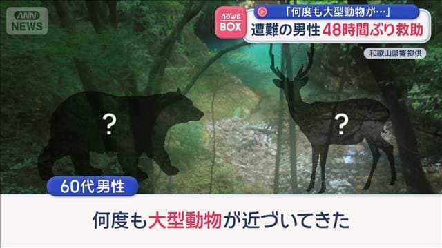 メイン記事画像